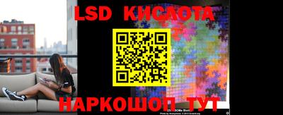 ГАЛЛЮЦИНОГЕННЫЕ ГРИБЫ Сланцы